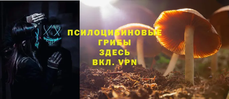 хочу   Клин  kraken ССЫЛКА  Галлюциногенные грибы Psilocybe 